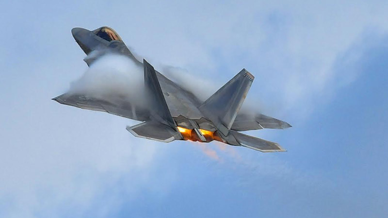 caddo lake near houston texas
