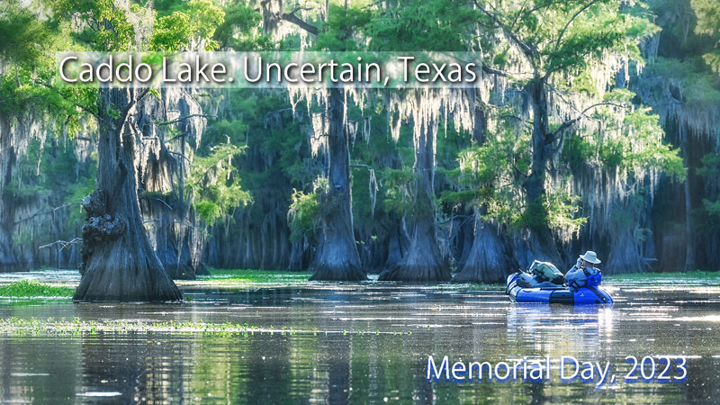 caddo lake near houston texas