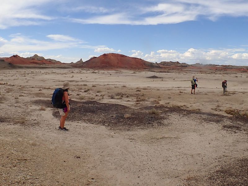 駐車場から歩き