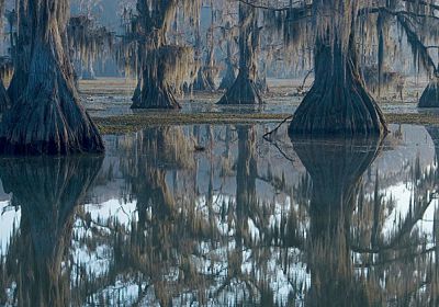 Caddo Lake