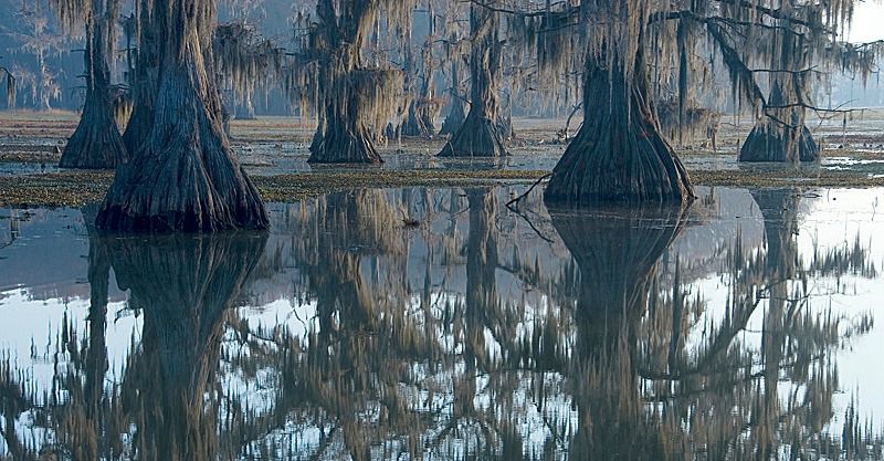 108335967.7RkQy5wl.N1