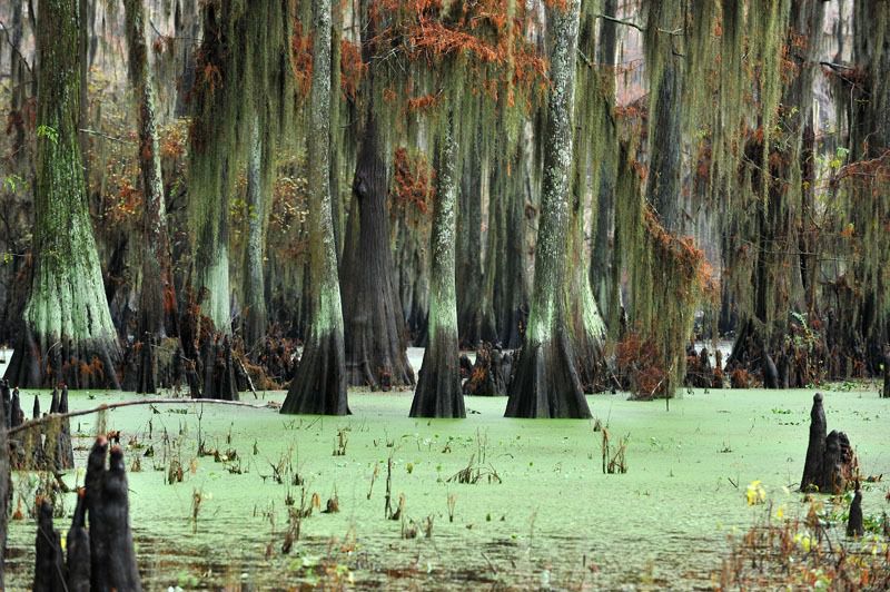 108337381.KGm41eBG.N2