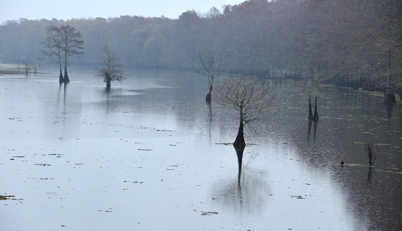 108337385.DlOXZuZh.N3