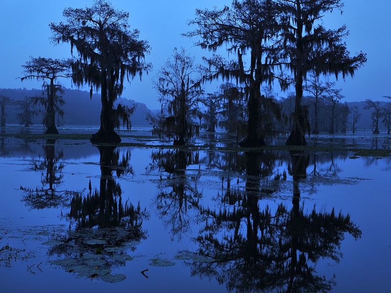 108337456.0Tv9pXSM.N5