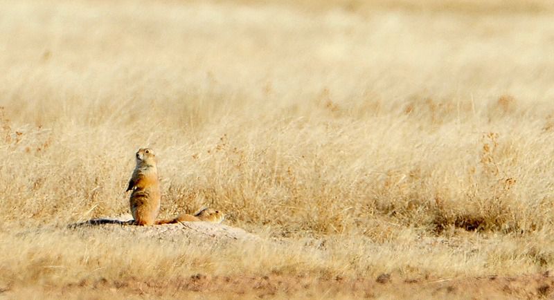 108624899.bsow989b.n5