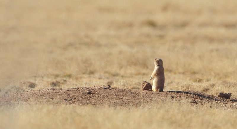 108624953.v1kbzjlw.dsc 6823