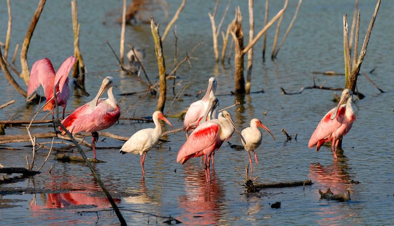 108652330.xnnsfmdt. wlt1707