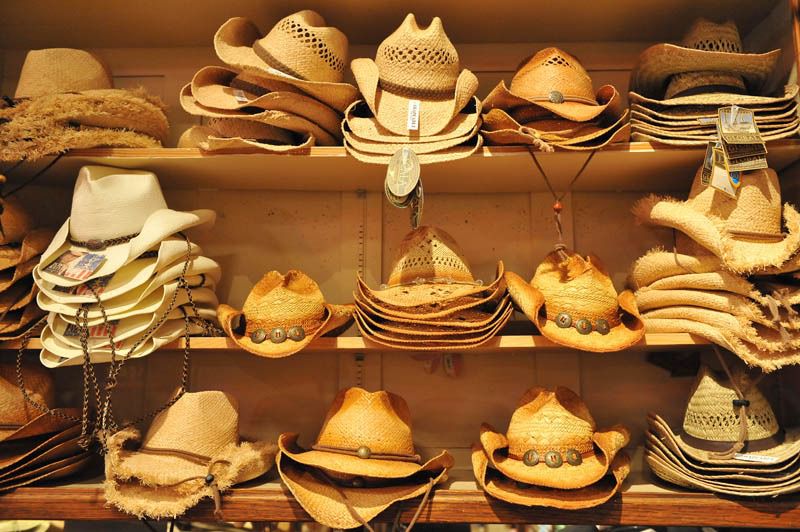 121575452.ynqonaud.dpc 4806