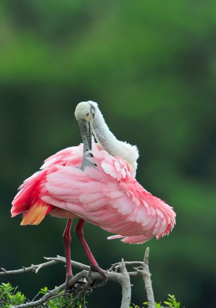 124411723.jmur2acy.dsc 8506