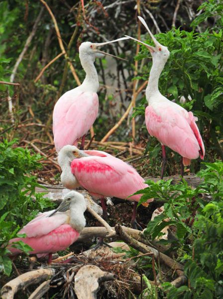 124411999.x0wzdeja.dsc 8581