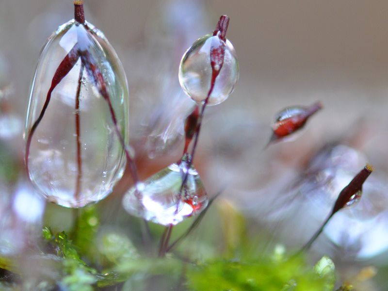 132296523.3vo6nwrv.dsc 3718