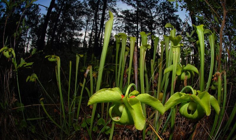 108368647.D24uoDF7.N2