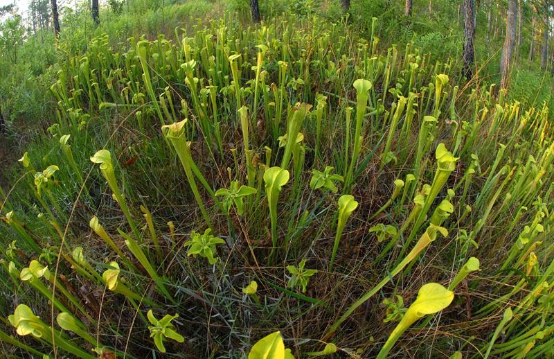 108368659.xZjoMoHb.N3