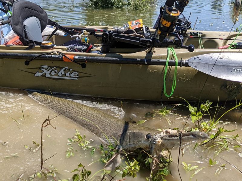 PXL 20210425 185924251