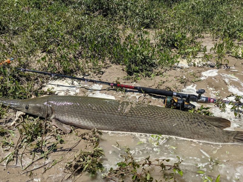 PXL 20210425 191627434.MP