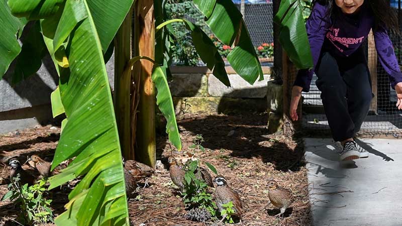 Houston Interactive Aquarium & Animal Preserve