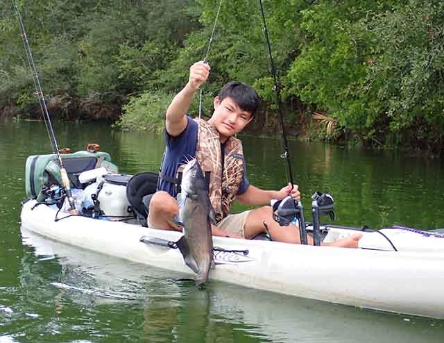 トローリングで、ナマズが釣れた