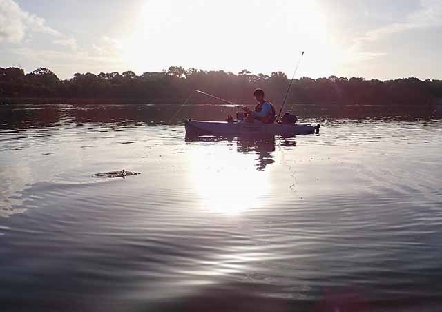 ナマズが釣れた