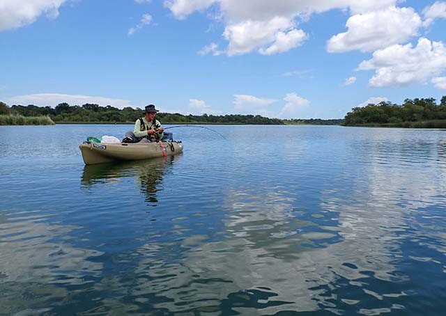 小さなボラを捕まえて餌にするとガーが釣れる
